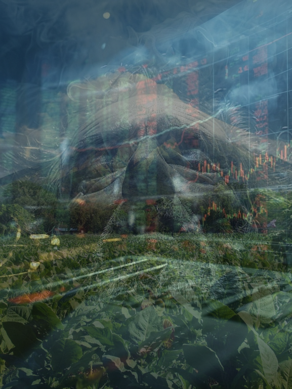 Post A Indústria de Charutos pelo Mundo Um Olhar Econômico e Empresarial Além do Prazer